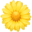 🌼