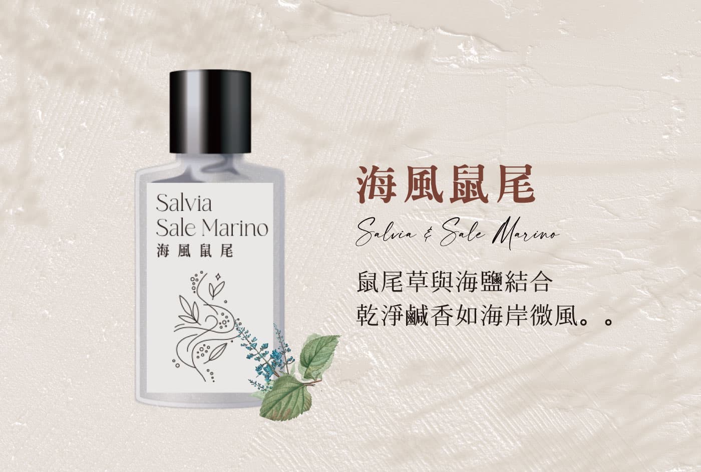 海風鼠尾|鼠尾草與海鹽結合,乾淨鹹香如海岸微風